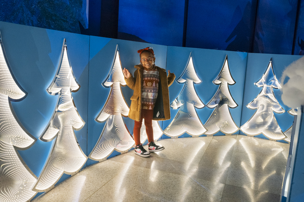 Frost – Cleveland Botanical Garden